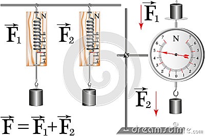 Demonstration school dynamometer which shows the strength of the action Vector Illustration